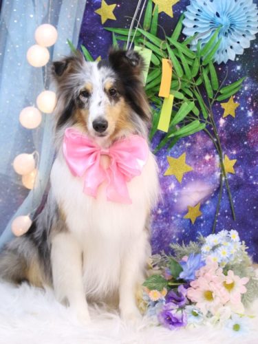 20250709ミルキーちゃん